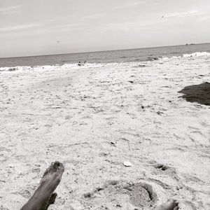 Meet your Posher, Paul